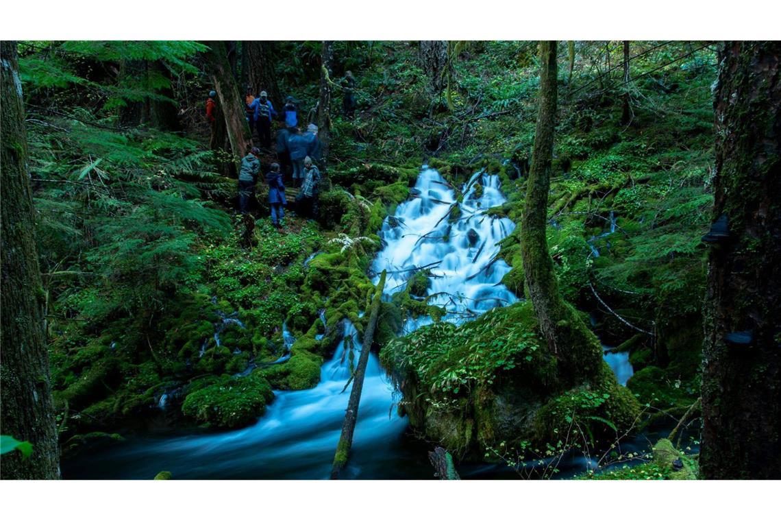 Forscher entdecken gigantischen Grundwasserspeicher in den USA Wissenschaftler untersuchen eine großvolumige Quelle in jungem Vulkangestein der Wasserscheide des Mckenzie River auf der Westseite des topografischen Kamms von Cascade, die im Rahmen dieser Studie überwacht wurde.