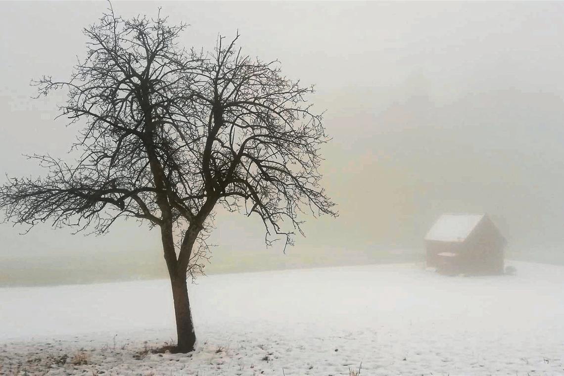 Wissenswertes über die Wintersonnwende, die Rauhnächte sowie Rituale und das Räuchern gibt es beim Spaziergang mit Naturparkführerin Sandra Gauss. Foto: privat