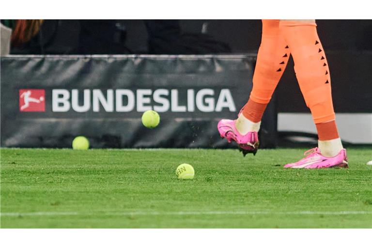 Wochenlang hatten Fans gegen den Investoren-Einstieg in die Deutsche Fußball Liga protestiert.
