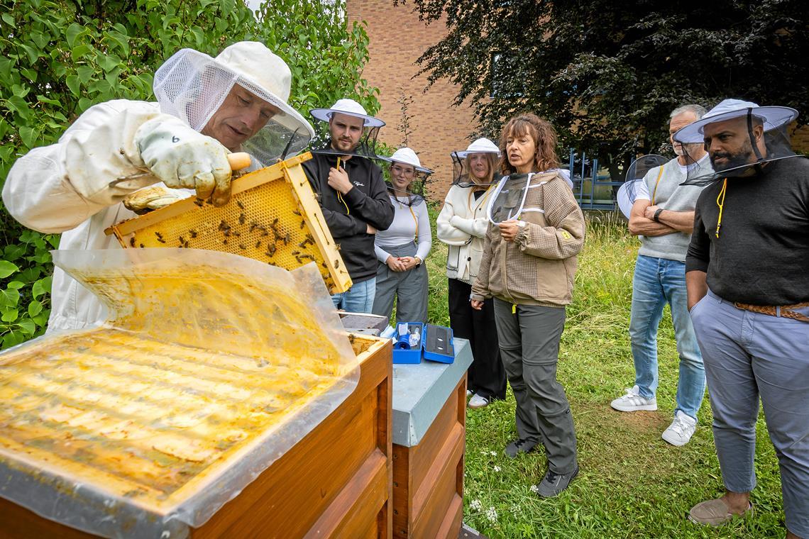 Firmenbienen zur Miete Wolfgang Dörfler (von links) zeigt Jonas Berghausen, Laura Hirling, Carolina Buchhammer, Clemens Koch und Hamid Madri, wie voll die Waben bereits sind. Regina Dörfler (Dritte von rechts) testet anschließend die Feuchtigkeit des Honigs. Fotos: Alexander Becher