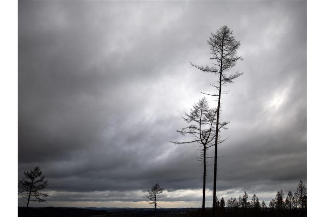 Festgefahren: Es bleibt weiter trüb und regnerisch Wolken ziehen über Bäume, die auf dem Unnenberg bei Gummersbach stehen. Foto: Federico Gambarini/dpa