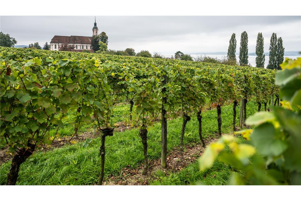 Wolkenverhangen zeigten sich große Teile Deutschlands in diesem Monat. (Archivbild)