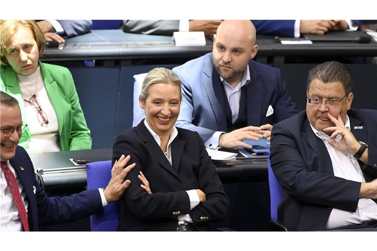 Würde sich sicher über Neuwahlen freuen: Alice Weidel und die AfD feixen im Bundestag.