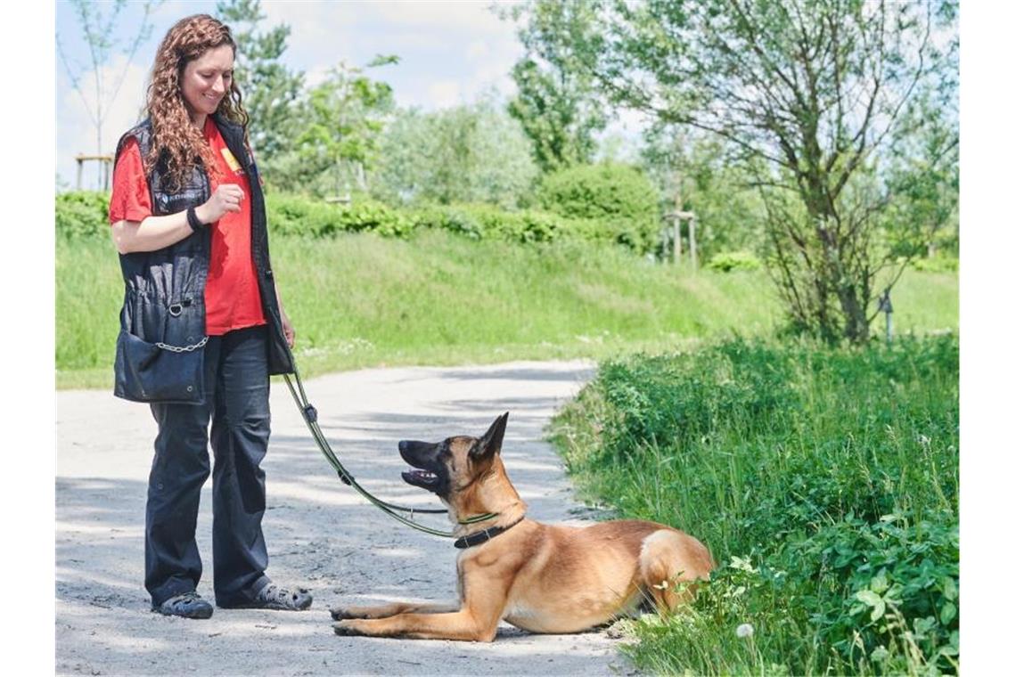 Xenia Katzurke, Tierärztin für Verhaltenstherapie, trainiert mit Schäferhund Leon im Tierheim Berlin. Foto: Annette Riedl/dpa