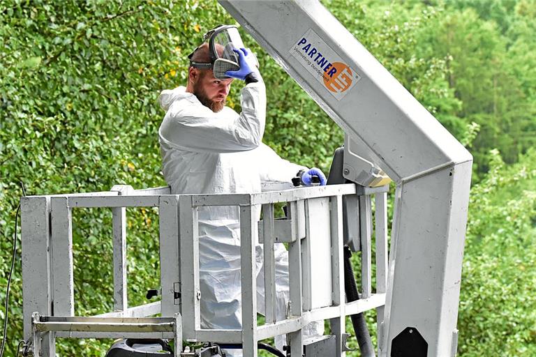 Yannick Lang trägt Schutzkleidung und Atemschutzmaske, wenn er, wie hier am Spielplatz Zwiebelberg, Nester einsaugt. Fotos: Tobias Sellmaier