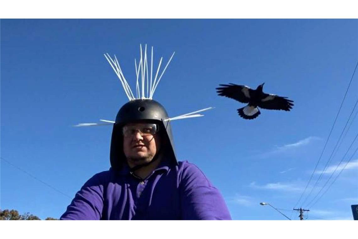 Magpies: Australiens überraschende Angreifer aus der Luft Youtuber Daniel Fitzgerald testet seinen Anti-Magpie-Helm.