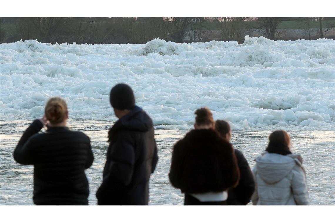 Zahlreiche Menschen nutzten das Wochenendende, um an der Elbe ein seltenes Naturspektakel zu bewundern: Eisberge auf dem Fluss.