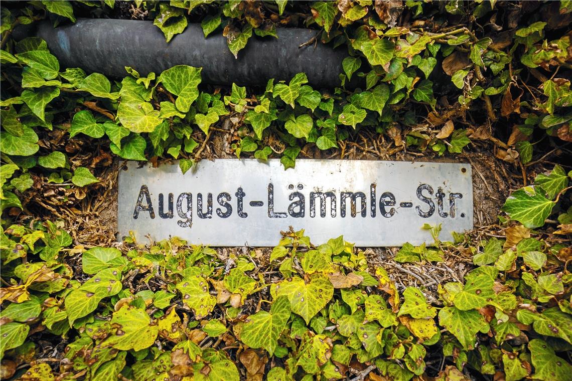 Zahlreiche Straßen in Baden-Württemberg wurden nach dem Dichter August Lämmle benannt – so auch in Aspach-Rietenau. Foto: A. Becher