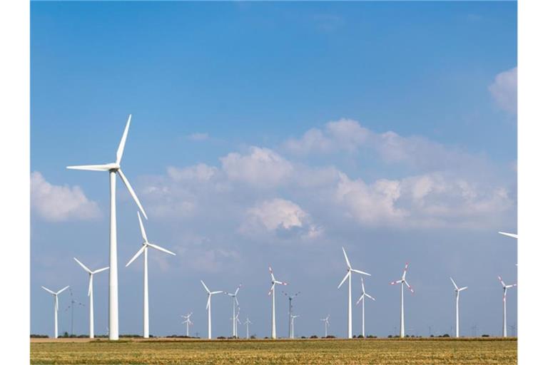 Zahlreiche Windräder stehen auf einem Feld nebeneinander. Foto: Monika Skolimowska/Archivbild