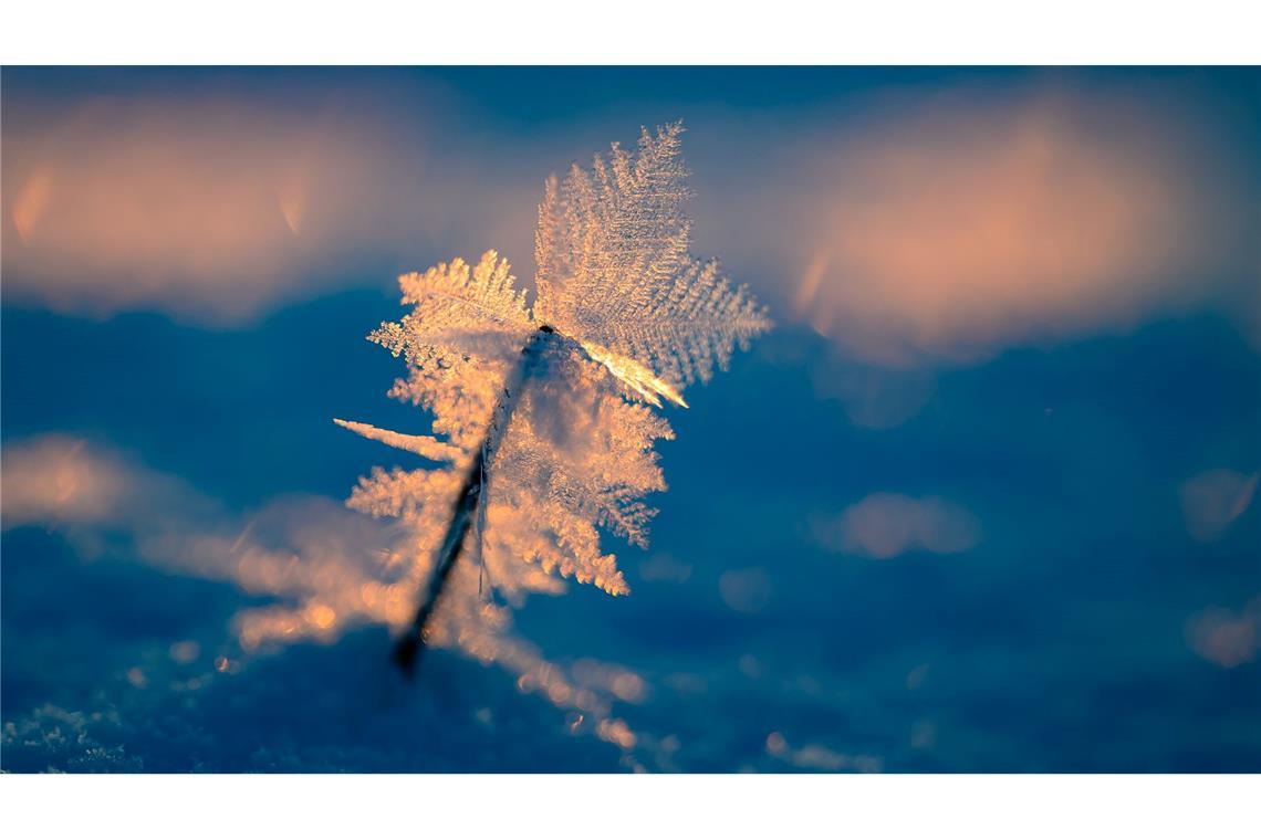 Zauberhafter Wintermorgen bei Eiseskälte.