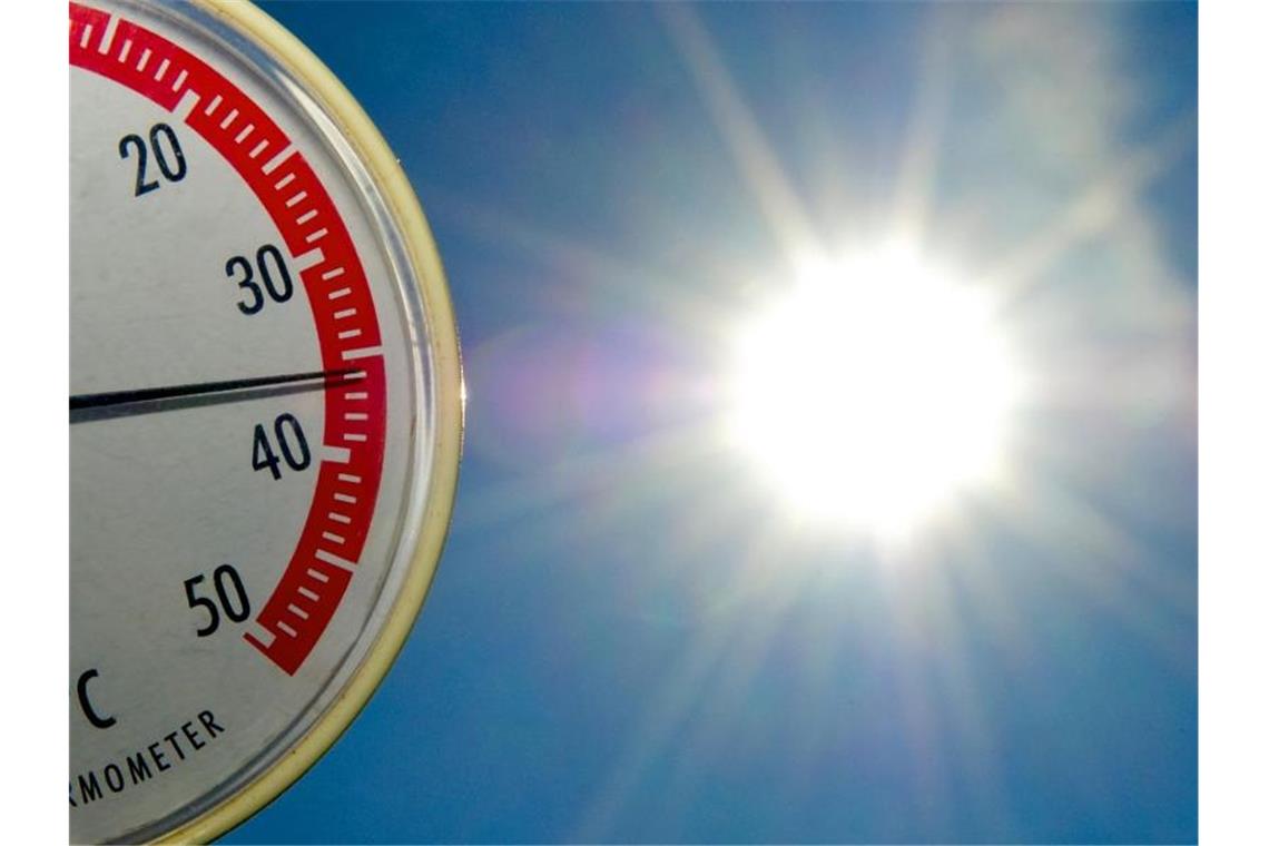Zehntausende Tote forderte der extrem heiße Sommer im Jahr 2003. Europa muss in Zukunft mit mehr solcher Hitzewellen rechnen, sagen Experten. Foto: Patrick Pleul