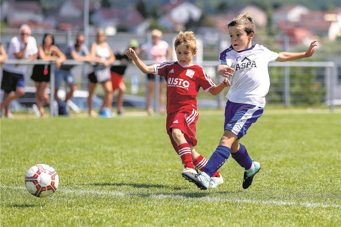 Zeigten ihr Talent und nahmen den Siegerpokal im F-Jugend-Jahrgang 2010 mit nach Hause: Die Kicker der Spvgg Kleinaspach/Allmersbach (rechts).