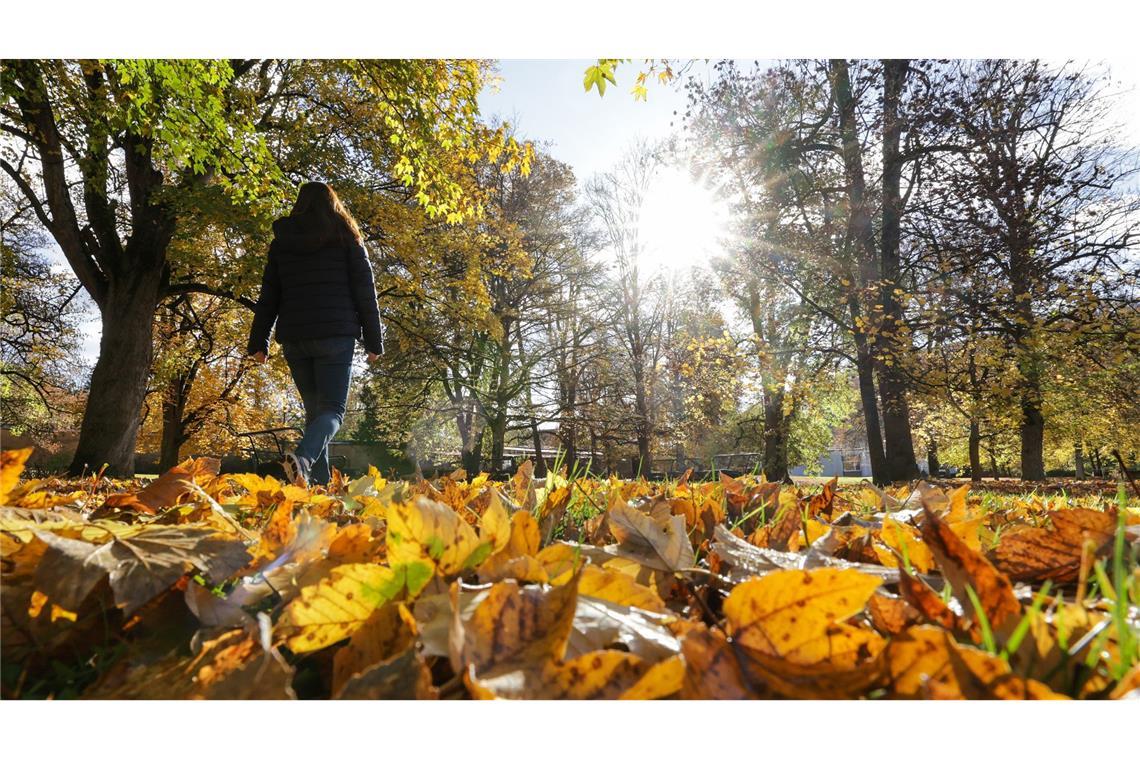 Wind, Regen  und Sonne – echtes Herbstwetter im Südwesten Zeitweise soll sich auch die Sonne zeigen (Symbolbild).
