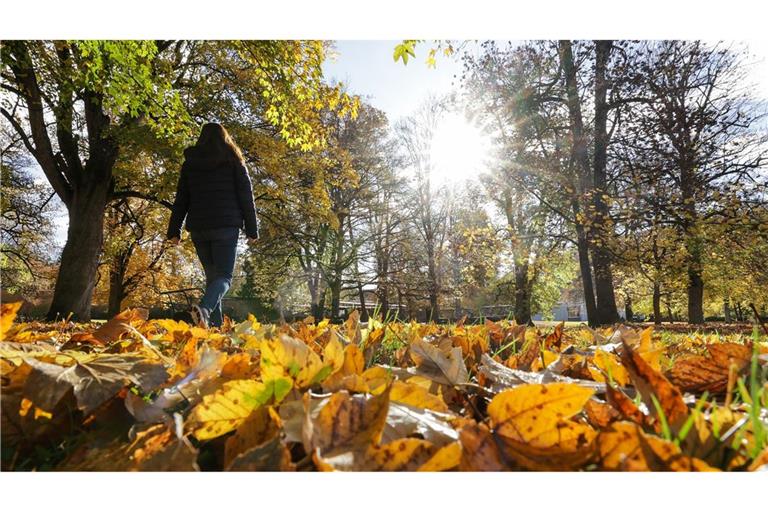 Wind, Regen  und Sonne – echtes Herbstwetter im Südwesten Zeitweise soll sich auch die Sonne zeigen (Symbolbild).