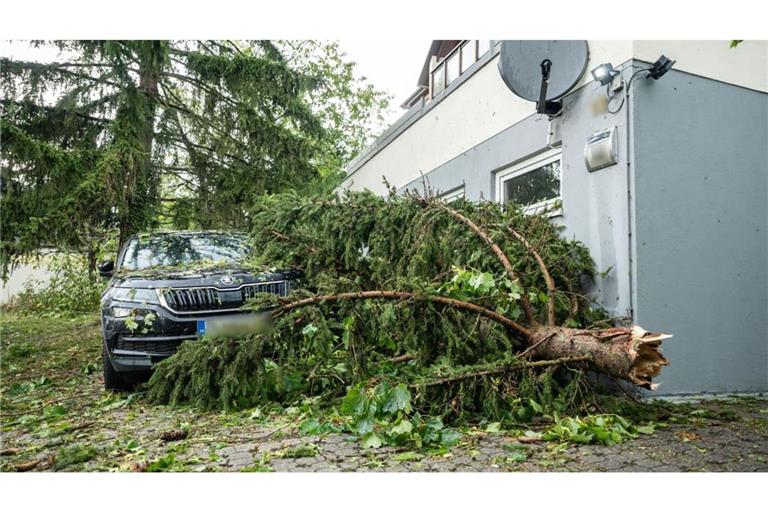 Zerstörerische Kraft: Nach dem Unwetter am vergangenen Freitag in der Bodensee-Region liegt in Singen im Kreis Konstanz ein Baum auf einem Auto.
