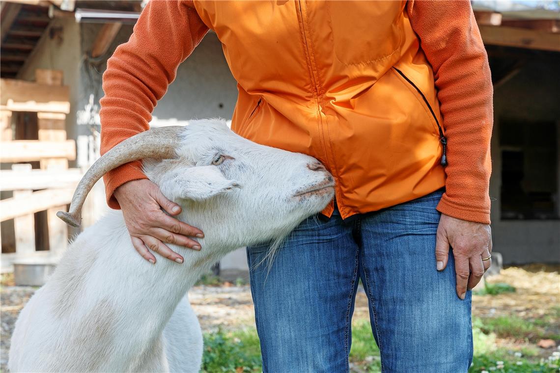 „Für die Tiere würde ich’s immer wieder tun“