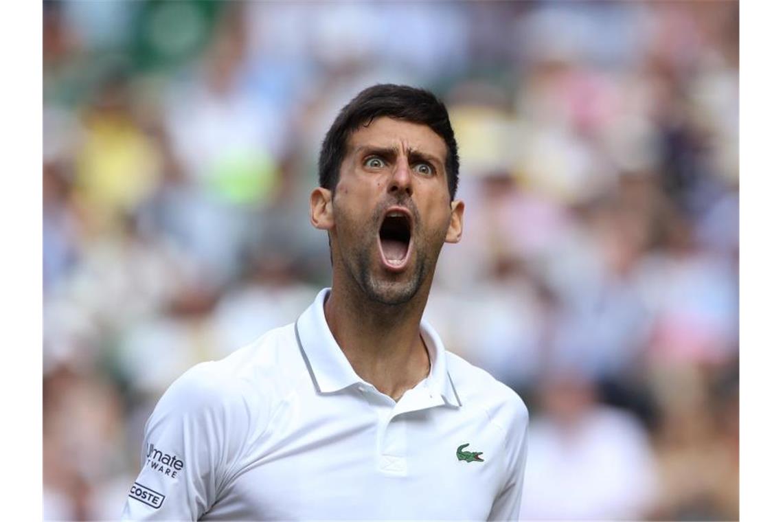 Federer im Wimbledon-Finale: „Eine Freude“ Zieht mit einem triumphierenden Schrei ins Finale von Wimbledon ein: Novak Djokovic. Foto: Carl Recine/PA Wire