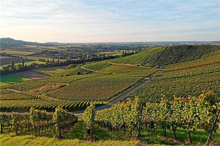 Ziel des Projekts ist es, die Weinbauregion nicht nur als Arbeits-, sondern auch als Lebens-, Natur- und Erholungsraum zu stärken. Archivbild: Naturpark