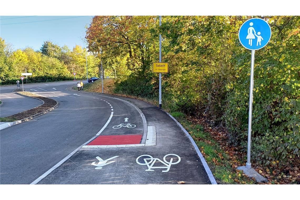 Falsche Markierungen, eine Treppe zum Radweg – Radfahrer bemängeln einige Kuriositäten Ziemlich verwirrend: Wer soll nun wo laufen beziehungsweise Rad fahren?