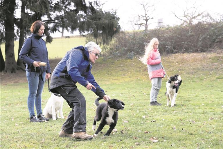 Zino und Dana Schubert (links) warten geduldig, bis sie an der Reihe sind, während Übungsleiterin Doris Lohberger mit Flocke trainiert, auf die Rufe seines Frauchens Birgit Schick zu reagieren.