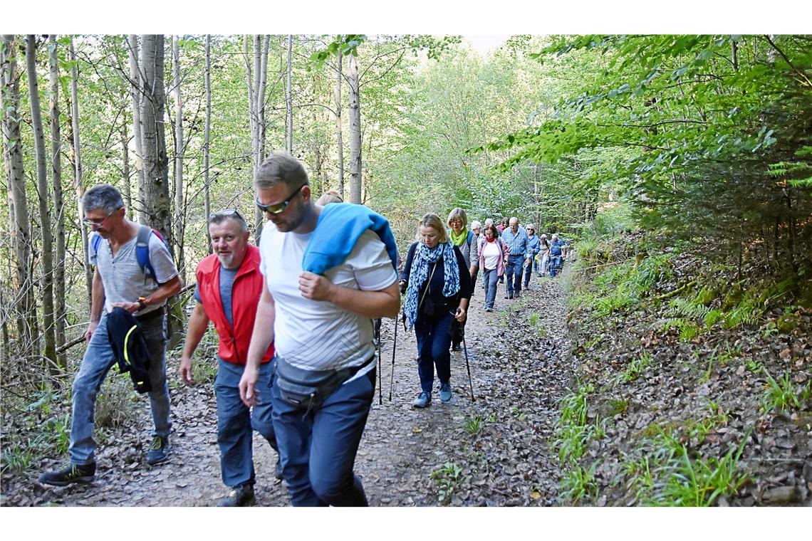 Wandertag in Sulzbach: Durch den Femelwald zu schönen Aussichten Zu Beginn der Tour geht es steil durch den Femelwald nach oben.