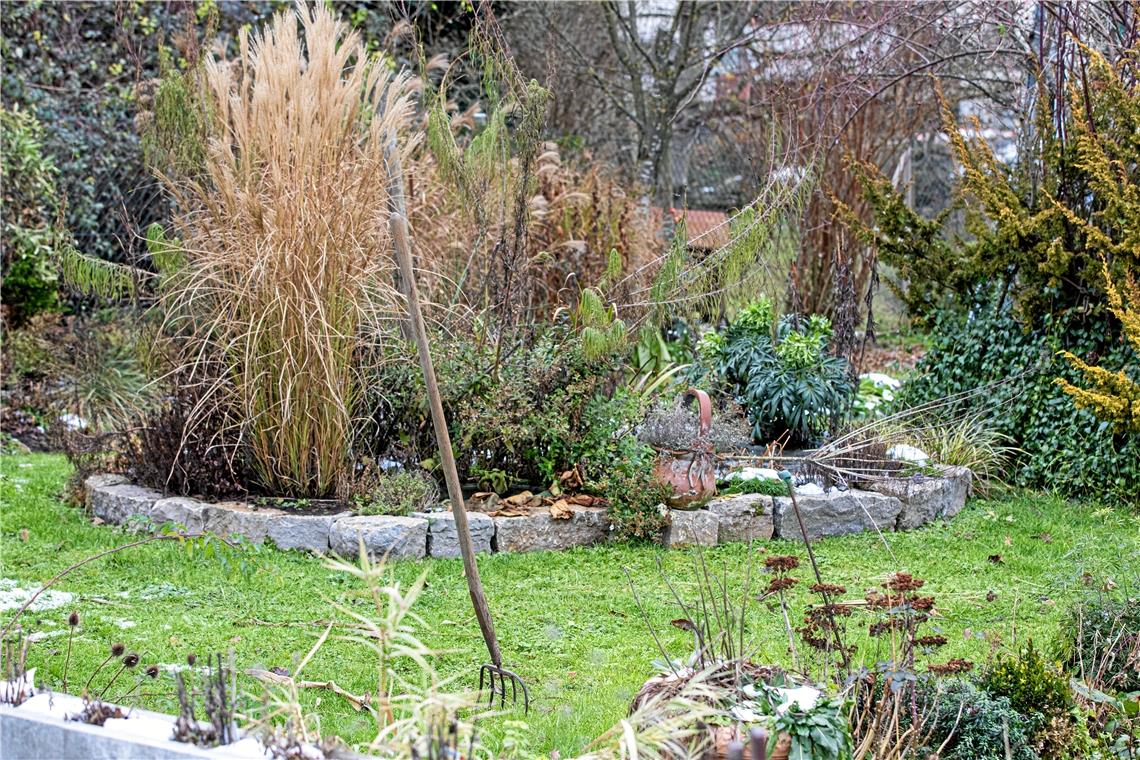 Zu Besuch bei Stefan Czech im Garten