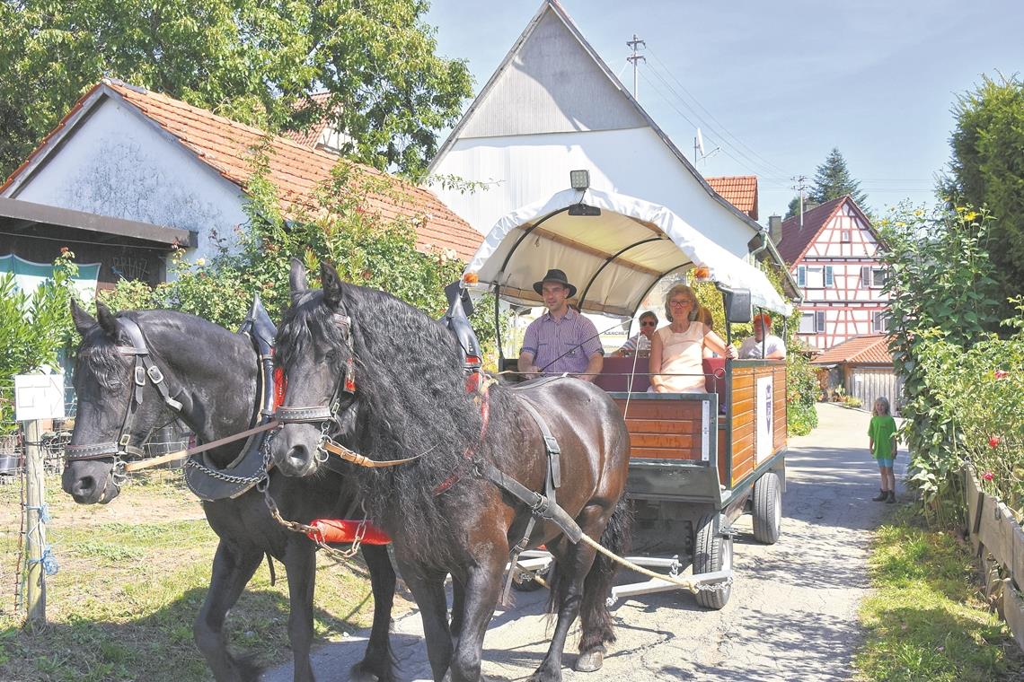 Passende Erlebnisse für jeden Waldtyp Zu Fuß, per Rad oder in der Kutsche: Es gab viele Möglichkeiten, die Umgebung zu erkunden.