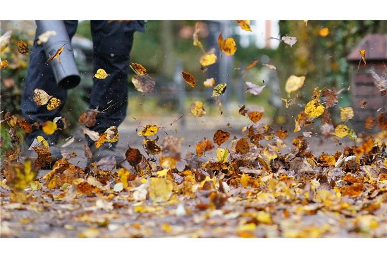 Zürich will den Einsatz nur noch von Oktober bis Dezember erlauben. (Symbolfoto)