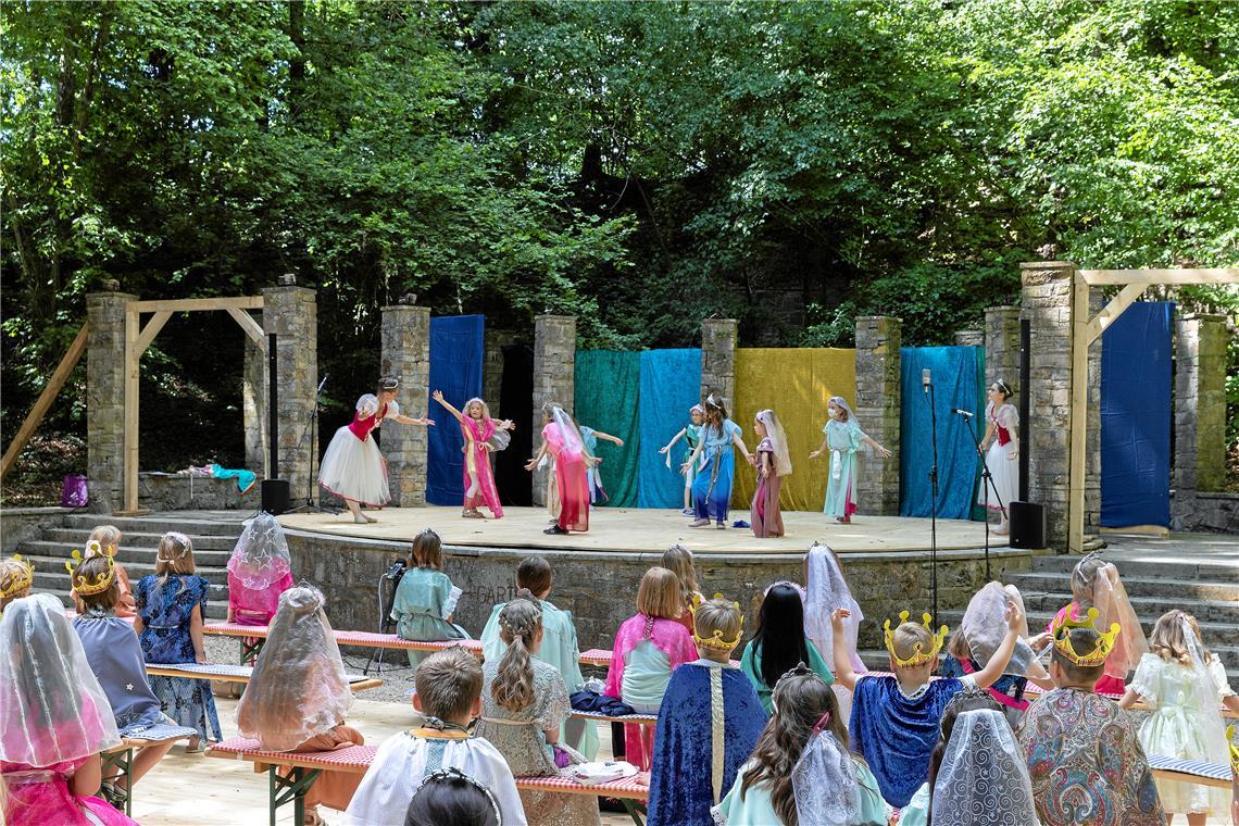 Backnanger Verein für Kinder löst sich auf Zuletzt fand im Sommer 2020 eine Veranstaltung des Vereins statt. Im Katharinenschloss wurden die Kinder zu Prinzen und Prinzessinnen. Archivfoto: J. Fiedler