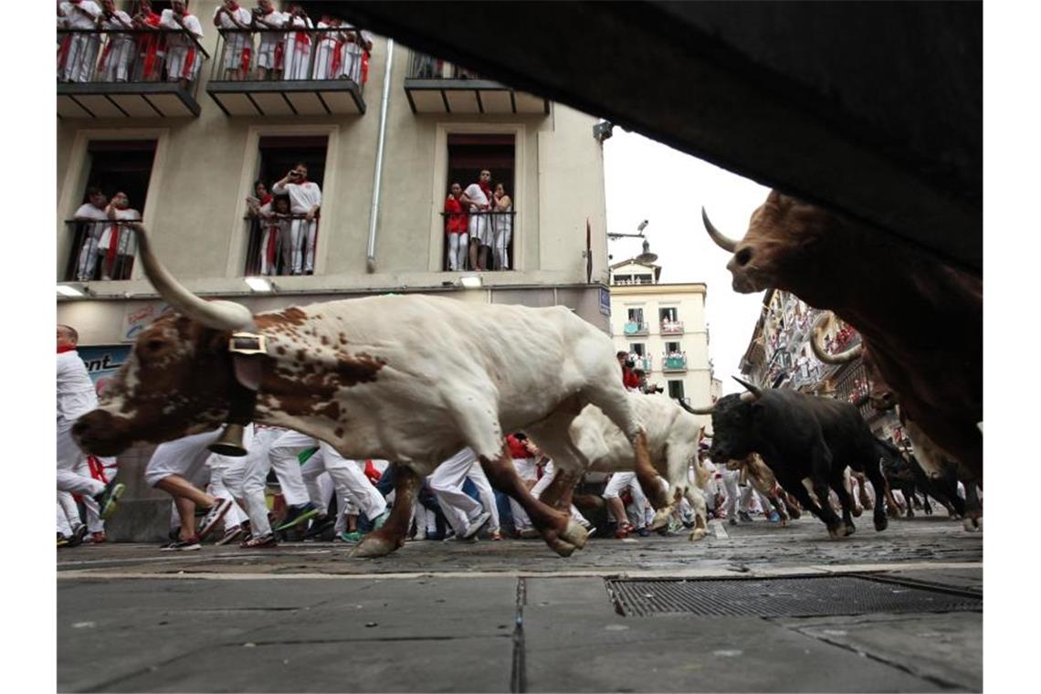 Mindestens fünf Verletzte bei erster Stierhatz in Pamplona Zum Auftakt der weltberühmten Stierhatz im spanischen Pamplona gab es mehrere Verletzte. Foto: David Domench/Europa Press