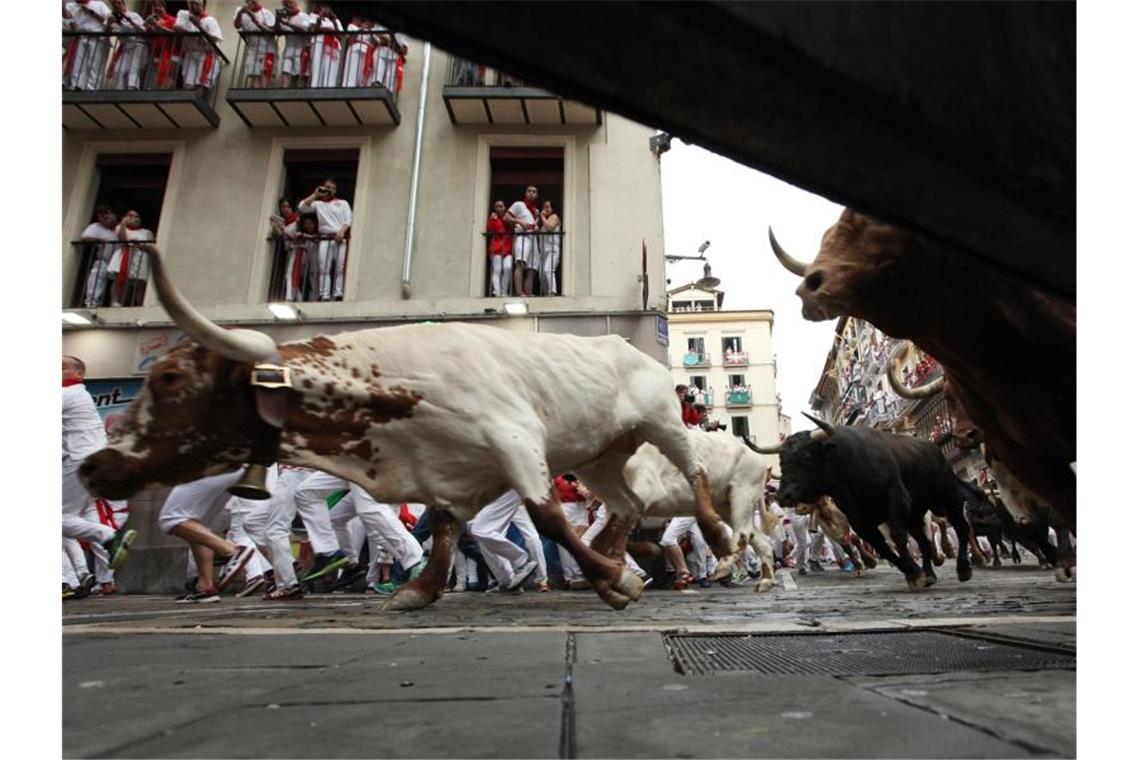 Mindestens fünf Verletzte bei erster Stierhatz in Pamplona