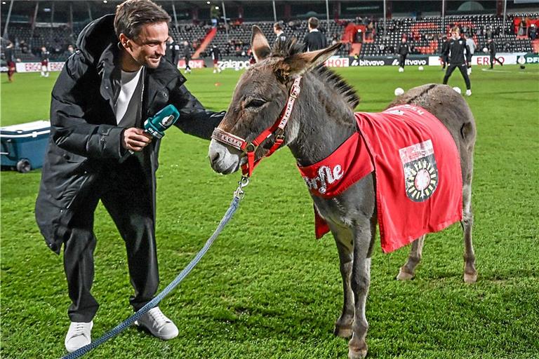 Zum Fernsehinterview bereit: Eselsdame Andile, das ab und zu sture Maskottchen des Drittligisten aus dem Fautenhau. Foto: Tobias Sellmaier