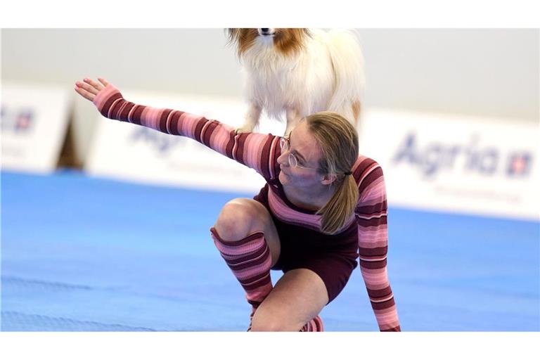 Zum Repertoire gehören zahlreiche Kunststücke.