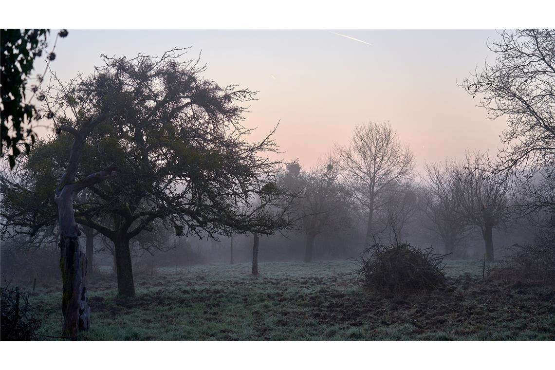 Ein Mal Sonne tanken – bis zu 23 Grad in Deutschland