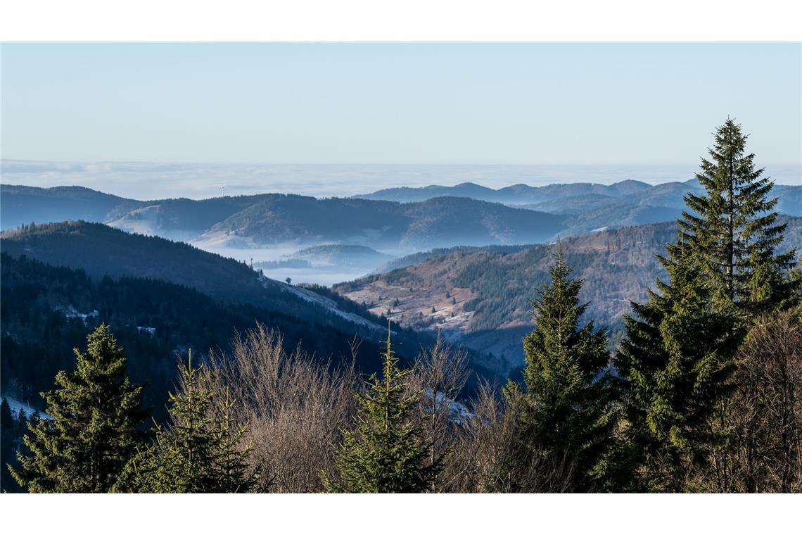 Zum Start in das letzte Wochenende des Jahres kommt etwas mildere Luft nach Deutschland