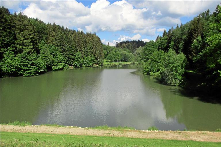 Zum Zeitpunkt dieser Aufnahme war die Wasserqualität des Eisenbachsees noch in Ordnung. Seit Mittwoch hat sich die Lage deutlich verschlechtert. Foto: Landratsamt Rems-Murr-Kreis