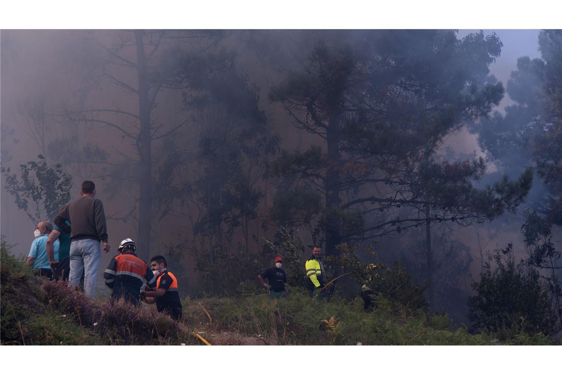Zur Bekämpfung des Feuers wurden insgesamt 125 Einsatzkräfte mobilisiert.