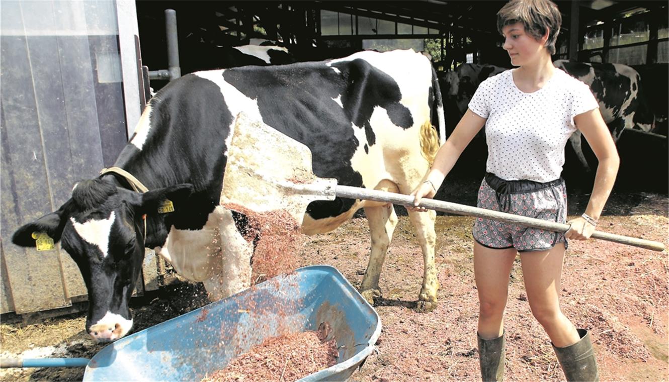 „Es ist viel mehr Arbeit, als ich dachte“ Zurzeit kümmert sich Anouchka vor allem um das Wohl der Kühe – dazu gehört auch, getrocknete Johannisbeeren in den Boxen der Kühe auszustreuen. Fotos: privat