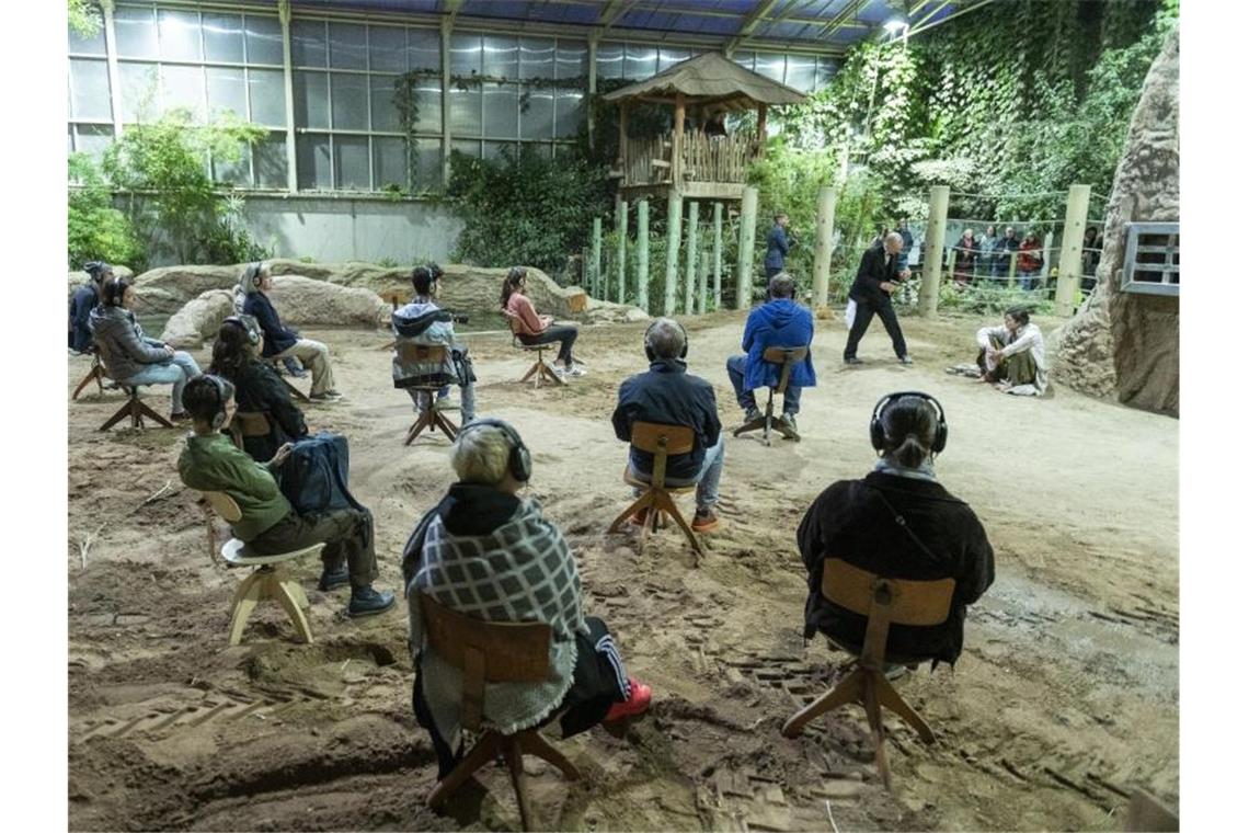 Kunst im Elefantenhaus: Theater Heidelberg im Zoo Zuschauer verfolgen die Generalprobe zur Uraufführung der szenischen Installation „Der sechste Kontinent“ im Elefantenhaus des Zoos. Foto: Silas Stein