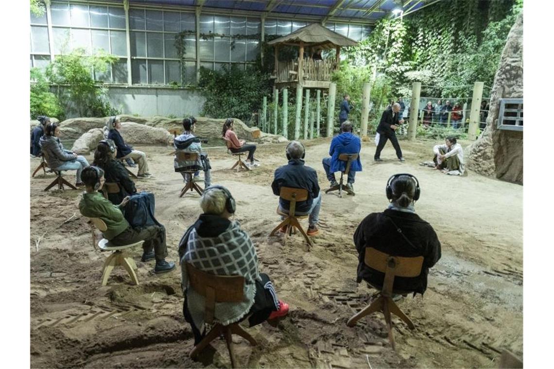 Zuschauer verfolgen die Generalprobe zur Uraufführung der szenischen Installation „Der sechste Kontinent“ im Elefantenhaus des Zoos. Foto: Silas Stein