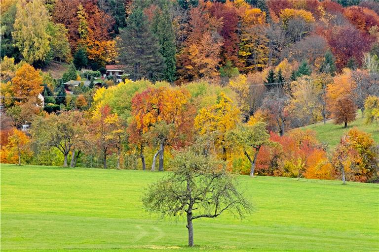 Zwar zeigten sich die Bäume in der Region im Oktober besonders farbenfroh, der Himmel blieb jedoch meistens grau. Foto: A. Becher