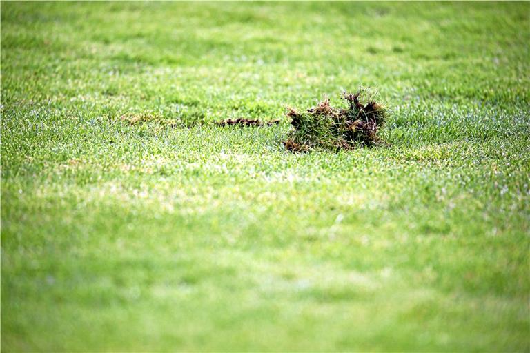 Zwei bestätigte Corona-Fälle gibt es bei den Amateurfußballern der Region. Foto: A. Becher