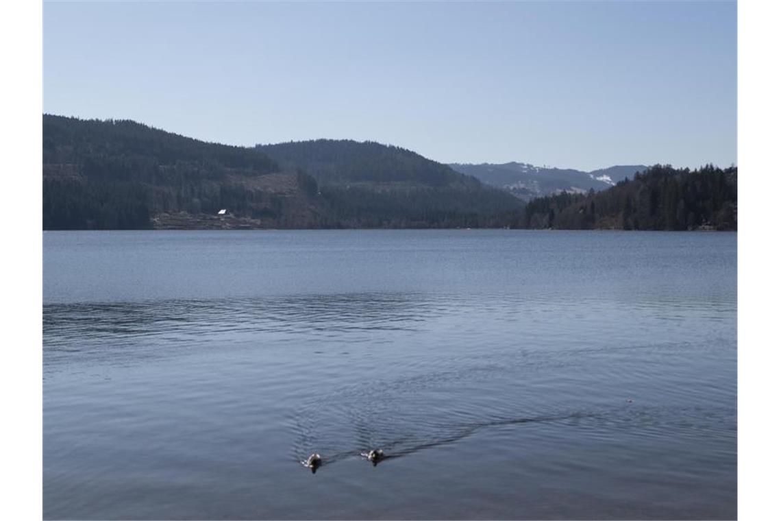 Zwei Enten schwimmen auf dem Titisee. Foto: Patrick Seeger/dpa/Archivbild