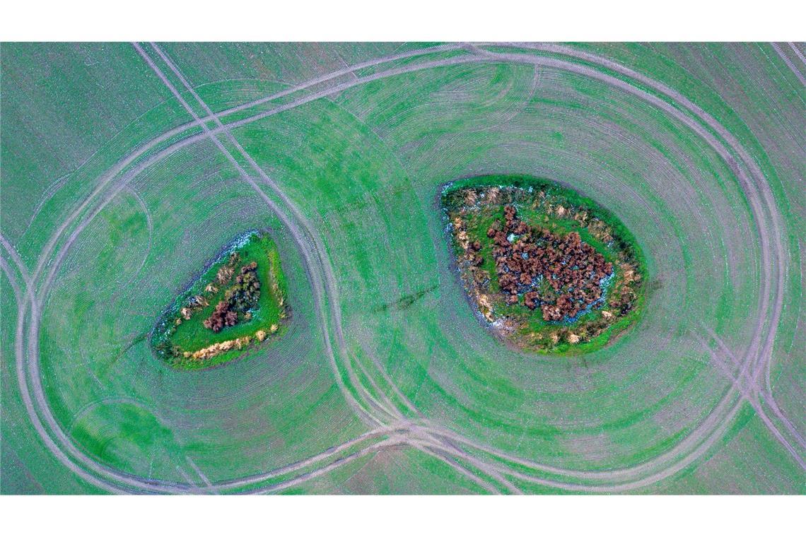 Zwei Inseln auf dem Feld - Landwirtschaft von oben