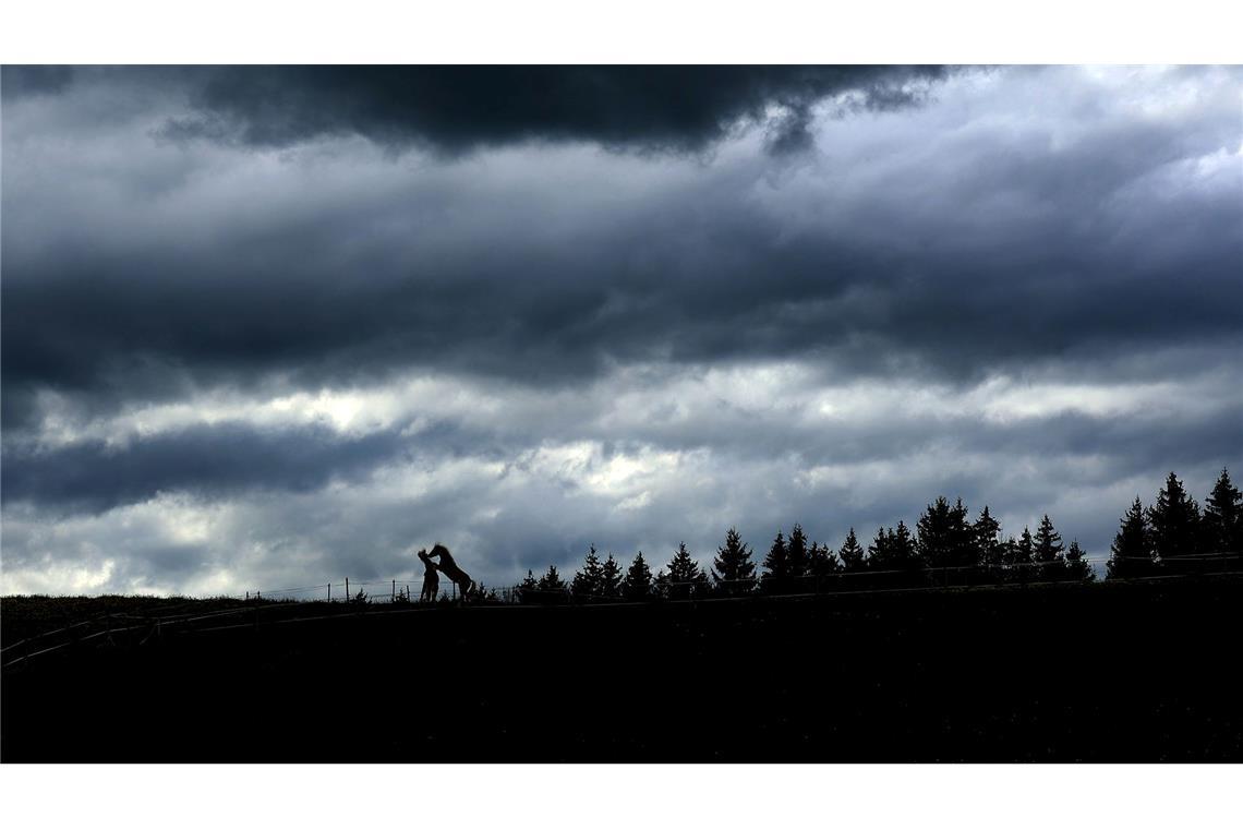 Bilder des Tages Zwei junge Pferde spielen unter einem Himmel voller dunkler Wolken auf einer Weide in Aitrang in Bayern.