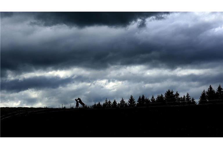 Zwei junge Pferde spielen unter einem Himmel voller dunkler Wolken auf einer Weide in Aitrang in Bayern.