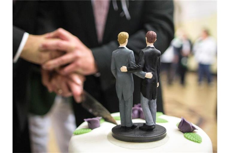 Zwei Männer schneiden nach ihrer Eheschliessung im Rathaus eine Hochzeitstorte an. Foto: Ina Fassbender/dpa/Archivbild