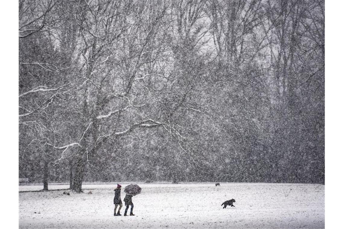 Zwei Menschen gehen bei Schneetreiben mit einem Hund durch den winterlichen Huthpark im Nordosten von Frankfurt/Main. Foto: Frank Rumpenhorst/dpa