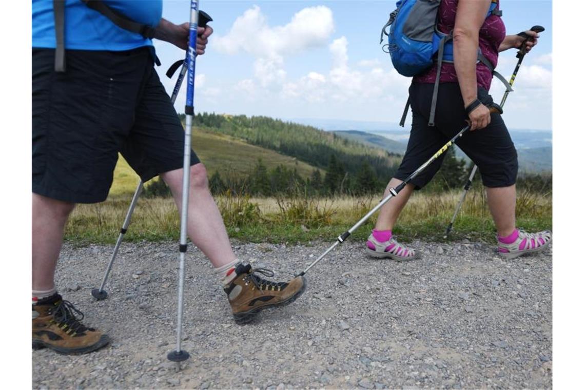 Zwei Wanderer laufen vor dem Schwarzwaldpanorama. Foto: Patrick Seeger/dpa/Symbolbild