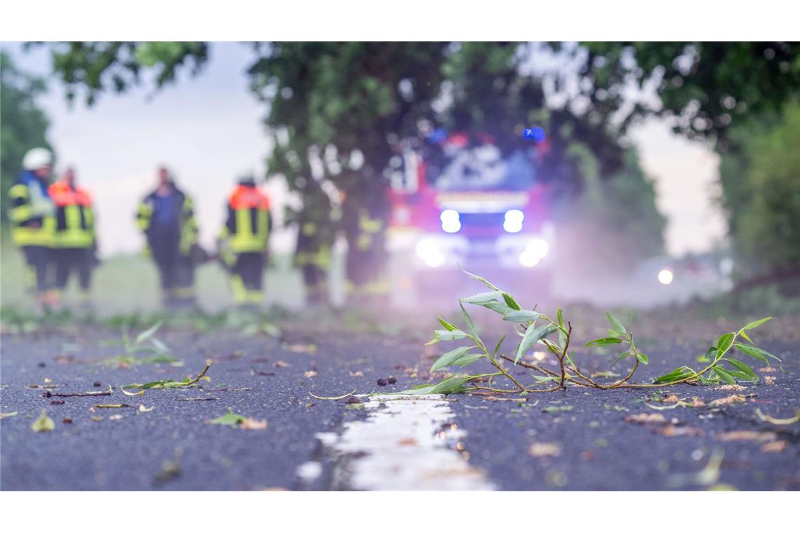 Zweige und Äste fielen auf Straßen.